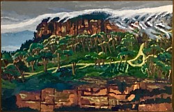 Narrow Neck under cloud. 710 x 470 Acrylic on board   $$260