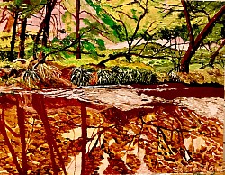 The. Turon River Acrylic on board 445 x 590 $280