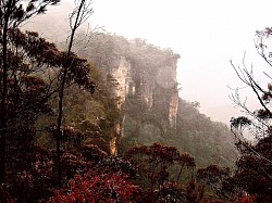 Cliffs at Blackheath photography 300 x 210   $120
